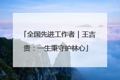全国先进工作者｜王吉贵：一生秉守护林心