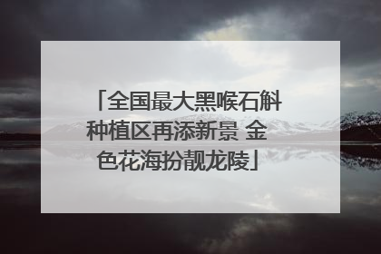 全国最大黑喉石斛种植区再添新景 金色花海扮靓龙陵