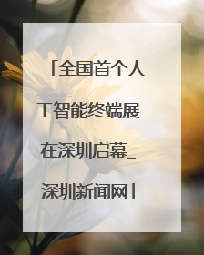 全国首个人工智能终端展在深圳启幕_深圳新闻网