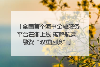 全国首个海事金融服务平台在浙上线 破解航运融资“双重困境”