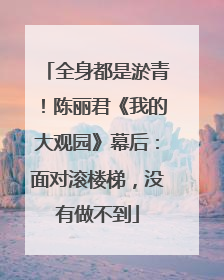 全身都是淤青！陈丽君《我的大观园》幕后：面对滚楼梯，没有做不到