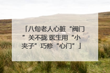 八旬老人心脏“阀门”关不拢 医生用“小夹子”巧修“心门”
