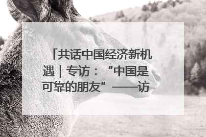 共话中国经济新机遇｜专访：“中国是可靠的朋友”——访马来西亚种植及原产业部副部长陈泓缣