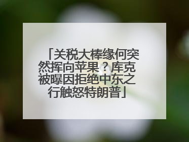 关税大棒缘何突然挥向苹果？库克被曝因拒绝中东之行触怒特朗普