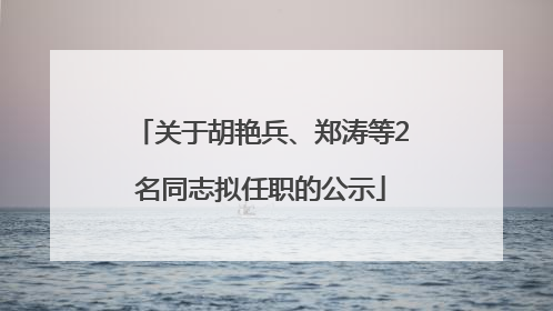 关于胡艳兵、郑涛等2名同志拟任职的公示