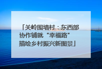 关岭围墙村：东西部协作铺就“幸福路” 描绘乡村振兴新图景