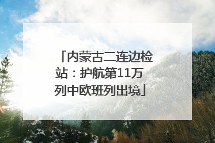 内蒙古二连边检站：护航第11万列中欧班列出境