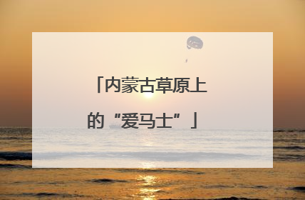 内蒙古草原上的“爱马士”