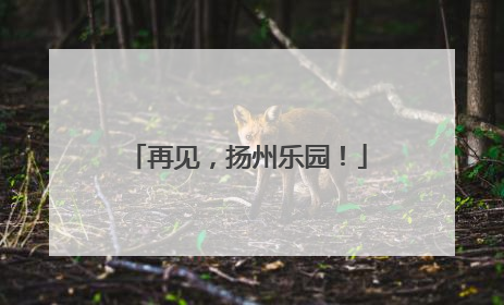 再见，扬州乐园！