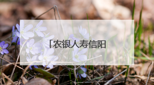 农银人寿信阳中支多举措筑牢安全生产防线