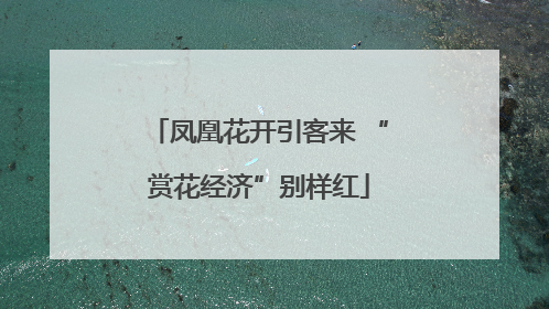凤凰花开引客来 “赏花经济”别样红