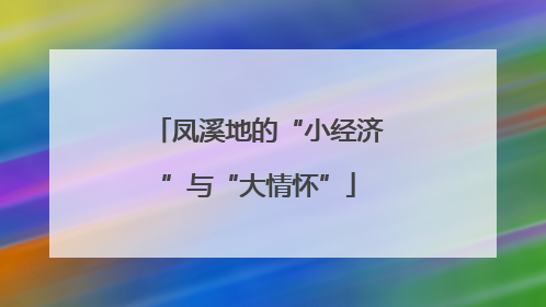 凤溪地的“小经济”与“大情怀”