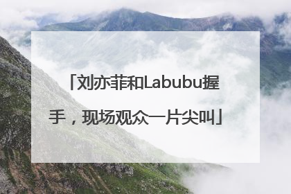 刘亦菲和Labubu握手，现场观众一片尖叫
