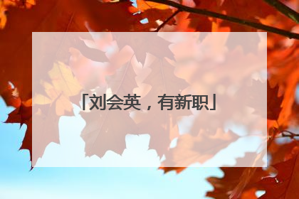 刘会英，有新职