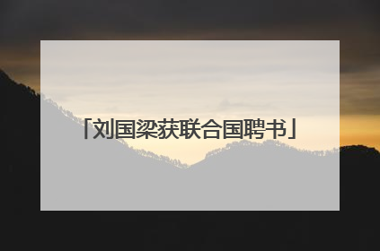 刘国梁获联合国聘书