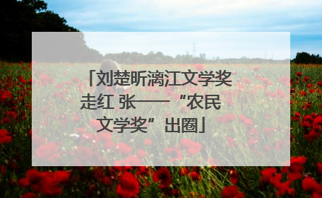 刘楚昕漓江文学奖走红 张一一“农民文学奖”出圈