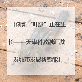 创新“叶脉”正在生长——天津科教融汇激发城市发展新势能