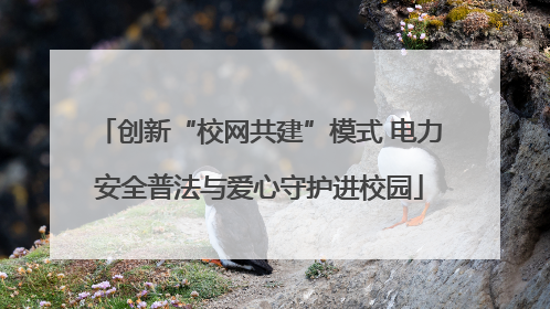 创新“校网共建”模式 电力安全普法与爱心守护进校园