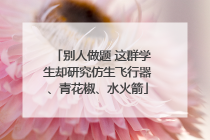 别人做题 这群学生却研究仿生飞行器、青花椒、水火箭
