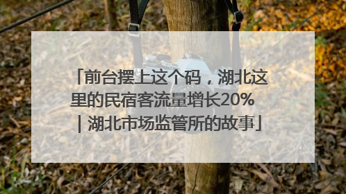 前台摆上这个码，湖北这里的民宿客流量增长20%｜湖北市场监管所的故事