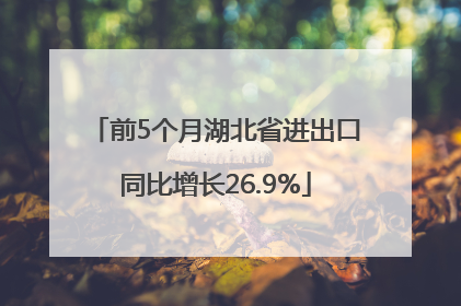 前5个月湖北省进出口同比增长26.9%