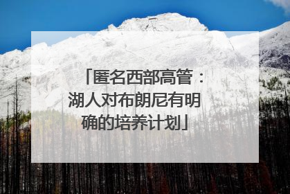 匿名西部高管：湖人对布朗尼有明确的培养计划