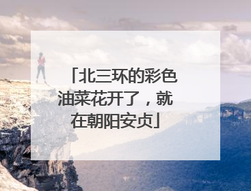 北三环的彩色油菜花开了，就在朝阳安贞