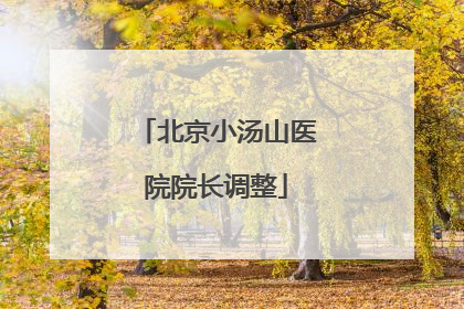 北京小汤山医院院长调整