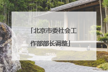 北京市委社会工作部部长调整