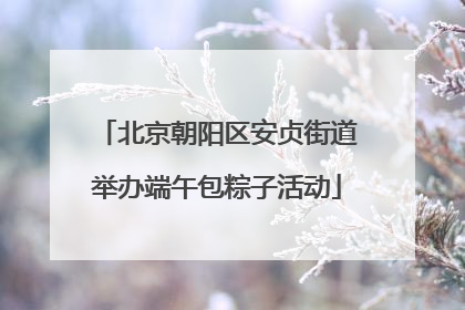 北京朝阳区安贞街道举办端午包粽子活动