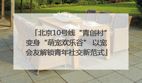 北京10号线“青创村”变身“萌宠欢乐谷” 以宠会友解锁青年社交新范式
