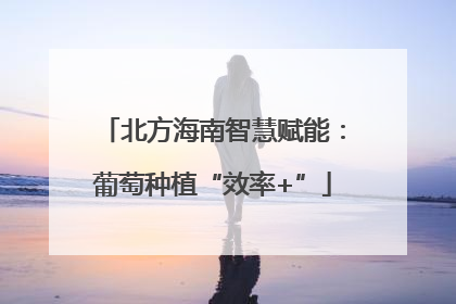 北方海南智慧赋能：葡萄种植“效率+”