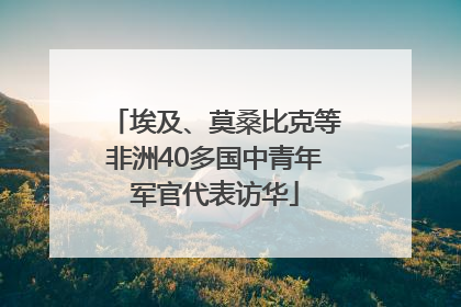 埃及、莫桑比克等非洲40多国中青年军官代表访华