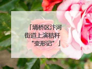 埇桥区汴河街道上演秸秆“变形记”