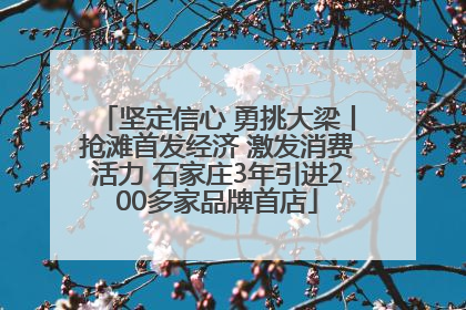坚定信心 勇挑大梁丨抢滩首发经济 激发消费活力 石家庄3年引进200多家品牌首店