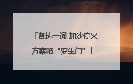 各执一词 加沙停火方案陷“罗生门”