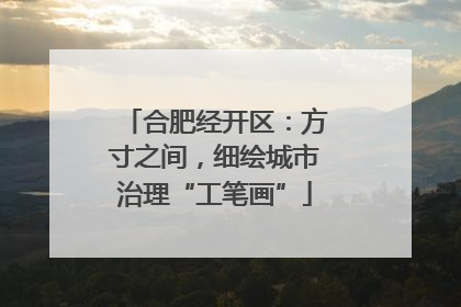 合肥经开区：方寸之间，细绘城市治理“工笔画”