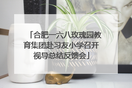 合肥一六八玫瑰园教育集团赴习友小学召开视导总结反馈会