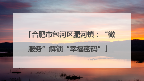 合肥市包河区淝河镇：“微服务”解锁“幸福密码”