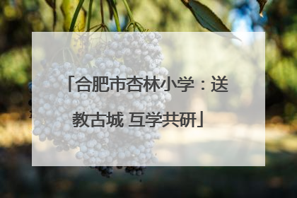 合肥市杏林小学：送教古城 互学共研