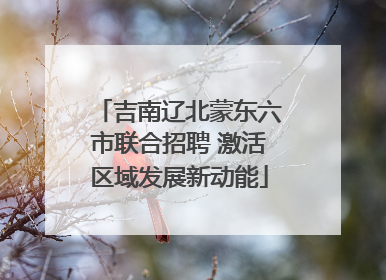 吉南辽北蒙东六市联合招聘 激活区域发展新动能