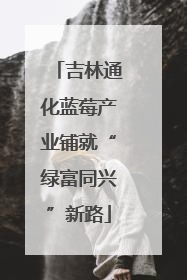 吉林通化蓝莓产业铺就“绿富同兴”新路