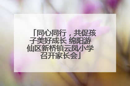 同心同行，共促孩子美好成长 绵阳游仙区新桥镇云凤小学召开家长会