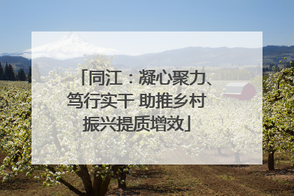 同江：凝心聚力、笃行实干 助推乡村振兴提质增效