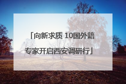 向新求质 10国外籍专家开启西安调研行