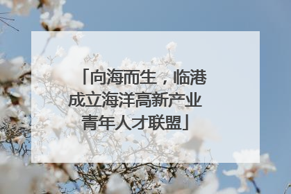 向海而生，临港成立海洋高新产业青年人才联盟
