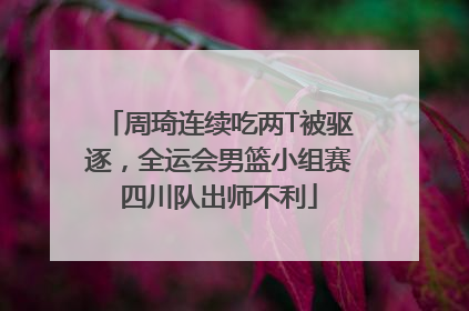 周琦连续吃两T被驱逐，全运会男篮小组赛四川队出师不利