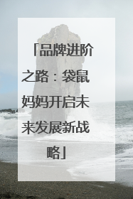 品牌进阶之路：袋鼠妈妈开启未来发展新战略