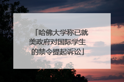 哈佛大学称已就美政府对国际学生的禁令提起诉讼
