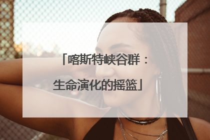喀斯特峡谷群：生命演化的摇篮